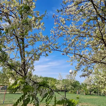 Casanova Es Wellness 아파트호텔